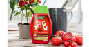 Für prächtige, geschmackvolle Tomaten