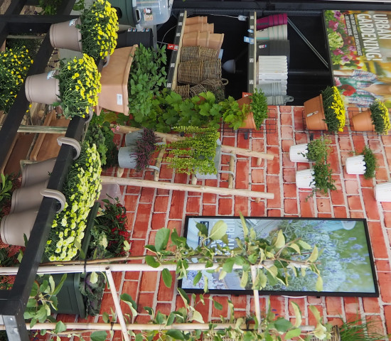 Für das Thema urban gardening hat die Sagaflor einen eigenen Präsentationsvorschlag entwickelt.
Für das Thema urban gardening hat die Sagaflor einen eigenen Präsentationsvorschlag entwickelt.