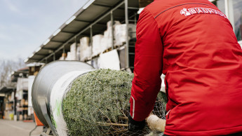 Bauhaus netzt Weihnachtsbäume mit Bio-Netz ein