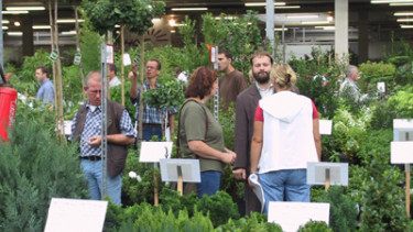 Pflanzenvermarkter wächst zweistellig