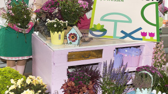 Neue Fachmesse Hortivation by IPM Essen für 2016 geplant