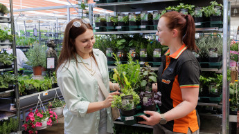 Gelungener Testlauf des Euro Plant Tray bei Globus Baumarkt