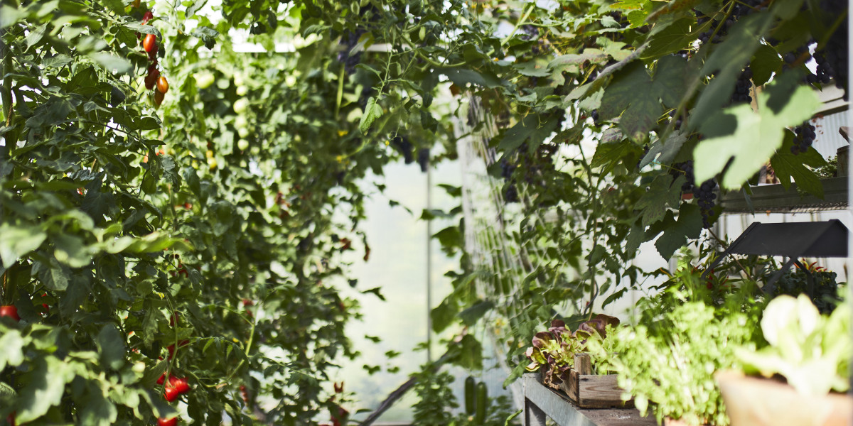 Alles fr den Hanf - diy online