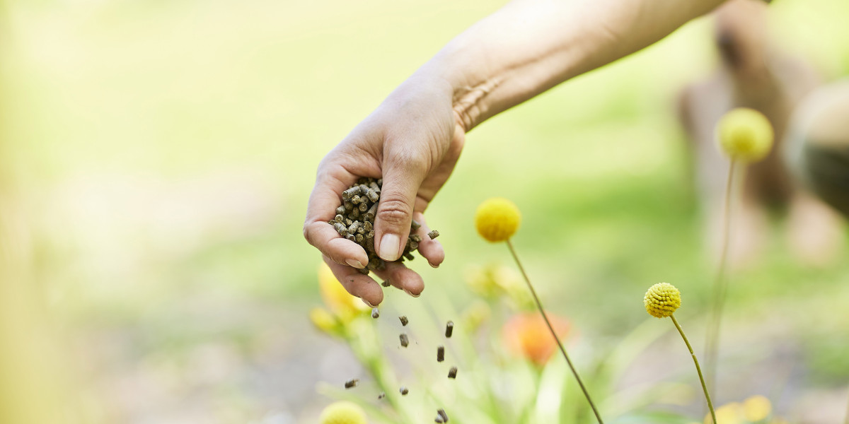 Mehr Bio  mehr Wirkung - diy online