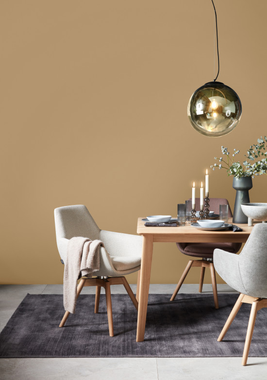 Schöner Wohnen-Farbe hat als Trendfarbe des Jahres 2026 den Beige-Ton Macchiato gewählt.&nbsp;