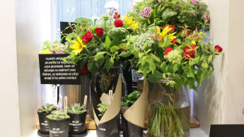 Kosmetikkette Lush verkauft jetzt auch Blumen und Pflanzen Kosmetikkette Lush verkauft jetzt auch Blumen und Pflanzen
