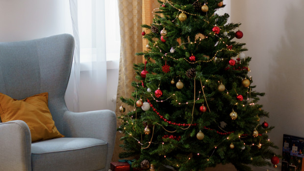 Ein Großteil der Weihnachtsbäume, die in deutschen Wohnzimmern stehen, wurde importiert. 