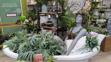 Garten- und Heimtierhandel bleibt im Minus