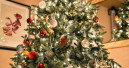 Jeder Vierte kauft den Christbaum im Baumarkt