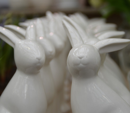 Frohe Ostern!
Frohe Ostern!