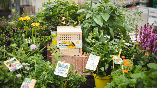 Mit dem „Nützlingsfreundlich“-Sortiment verfolgt Toom einen ökologisch orientierteren Ansatz im Gartenbereich. Mit dem „Nützlingsfreundlich“-Sortiment verfolgt Toom einen ökologisch orientierteren Ansatz im Gartenbereich.