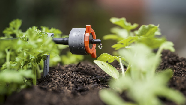 Mit seinem Micro-Drip-System steht Gardena im Finale für den Deutschen Nachhaltigkeitspreis.