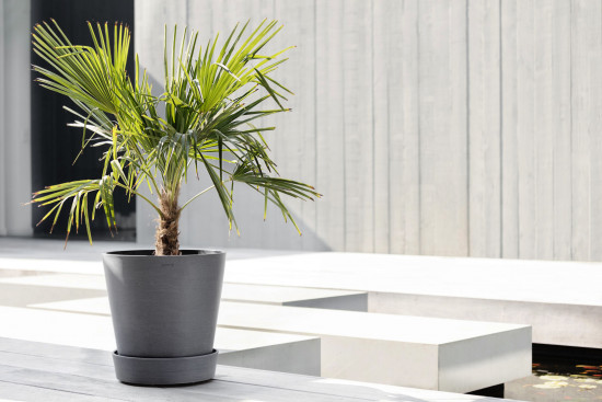The Pots Company, Ecopots The Pots Company, Ecopots