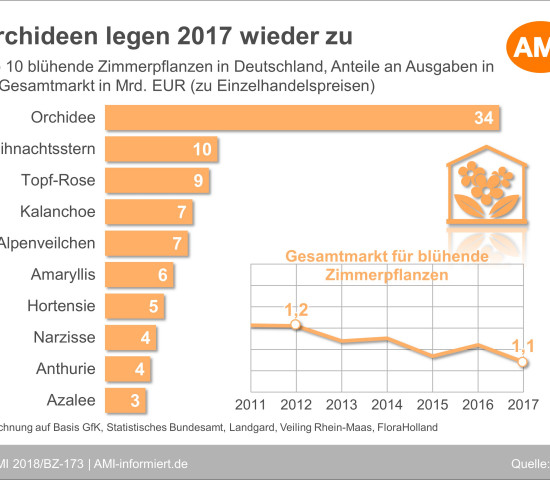 Die Top 10 der Zimmerpflanzen.
