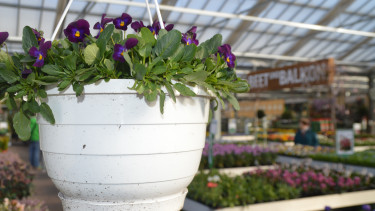 Gartenhandel erzielt im Februar zweistelliges Umsatzplus