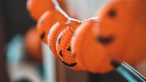 Insbesondere Dekoration ist zu Halloween beliebt. Insbesondere Dekoration ist zu Halloween beliebt.