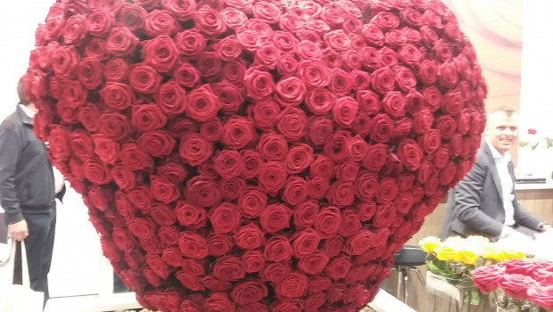 Zu Valentin gibt's nicht nur rote Rosen, so der Eindruck der Blumengroßhändler.