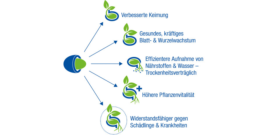 Die Infotafel liefert dem Kunden Aufschluss über die Vorteile der Powersaat.