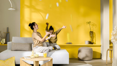 Umsatz von Akzo Nobel schrumpft