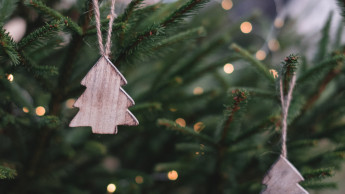 Nachhaltigkeit gewinnt beim Weihnachtsbaumkauf an Bedeutung