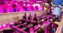 IPM Essen 2023 nimmt die Technik im Gartenbau in den Fokus