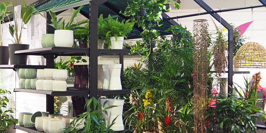 Egesa Garten, Impulszone, Indoor-Pflanzen