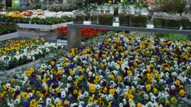 Gartenhandel verliert im kältesten April seit 40 Jahren an Umsatz