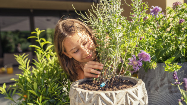 Gardena sieht eine Möglichkeit zum Wassersparen im Einsatz von technischen Lösungen, wie etwa einer gezielten Tropfbewässerung.