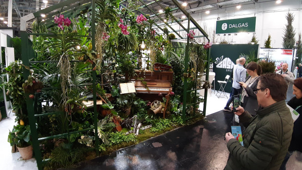 In den Messehallen in Essen dreht sich heute und in den kommenden Tagen alles um Pflanzen.&nbsp;