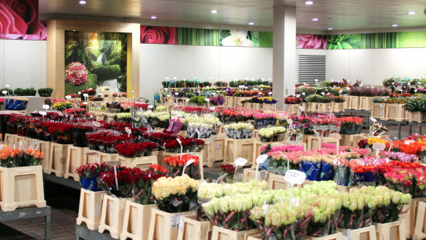 Die Leipziger Bloomways-Filiale wurde nach der Umgestaltung jetzt wiedereröffnet Die Leipziger Bloomways-Filiale wurde nach der Umgestaltung jetzt wiedereröffnet