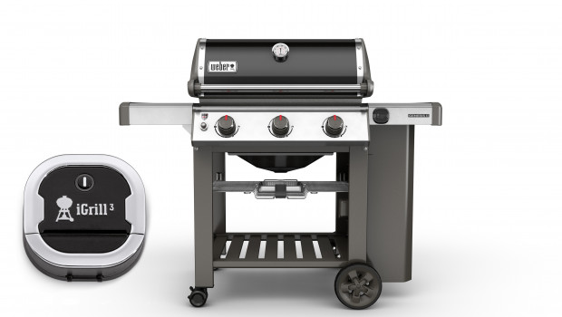 Weber-Stephen, Genesis II E-310 GBS