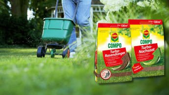 Die schnelle Lösung für einen dauerhaft robusten Rasen