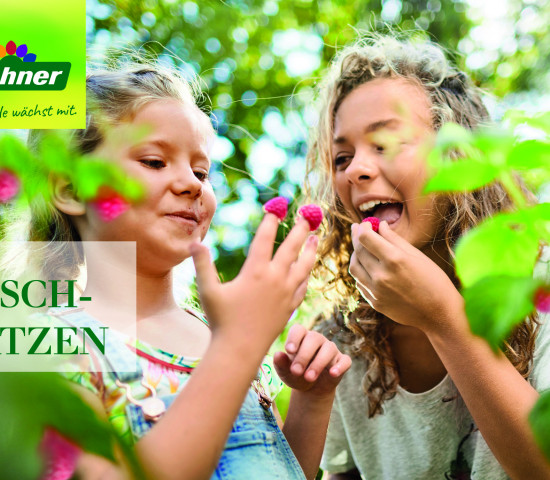 ...oder Futter für die Naschkatzen:...
...oder Futter für die Naschkatzen:...