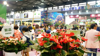 Zehn Prozent mehr Aussteller auf der Hortiflorexpo IPM Shanghai