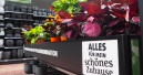 Gartenhandel setzt im ersten Halbjahr 11,6 Prozent mehr um