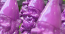 Gartenhandel legt 2016 vor allem dank Hartware um 1,8 Prozent zu