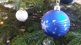 Der Weihnachtsbaum 2017 soll eher kleiner, aber makellos sein