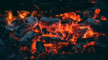 Immer noch Tropenholz auf deutschen Grills Immer noch Tropenholz auf deutschen Grills