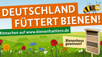 Branchenverbände unterstützen Initiative „Bienen füttern!“