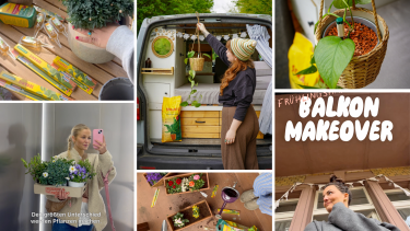 Seramis startet Social-First-Kampagne