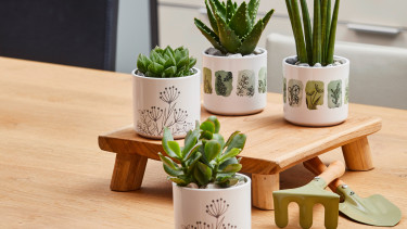 Ruhe, Landleben und Natur