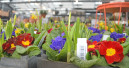 Biodiversität? Check!