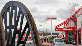 Putzmunter im Haifischbecken Putzmunter im Haifischbecken