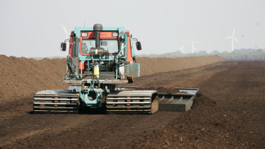 Teurer Torf