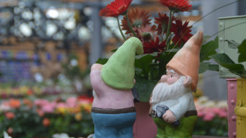 Leicht positivere Zahlen für Garten und Heimtier im August Leicht positivere Zahlen für Garten und Heimtier im August