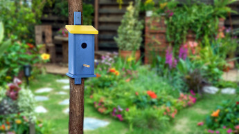 Vom Fenster bis zum Vogelhäuschen