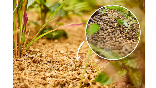 Compo, Bio-Bodenschutz-Pellets Compo, Bio-Bodenschutz-Pellets