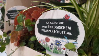 Nachhaltigkeit, Klima und Trends prägen die IPM 2020