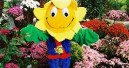 Flower Power in Rostock