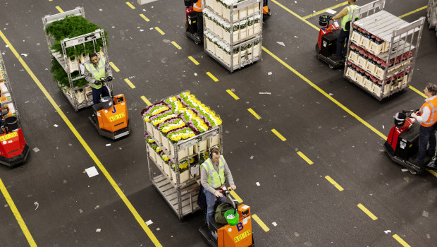 Flora-Holland will 2017 unter anderem gezielt in die Logistik investieren. Flora-Holland will 2017 unter anderem gezielt in die Logistik investieren.